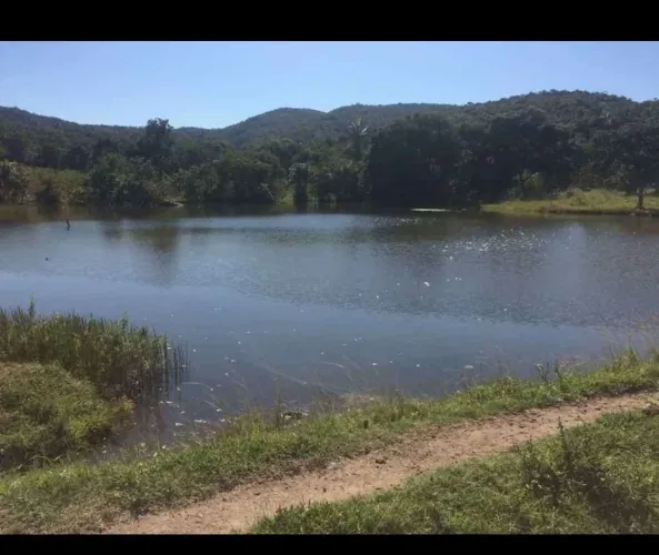 Fazenda a venda para gado em  - Itapirapuã - Goiás