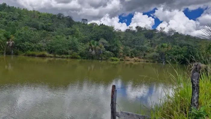 Fazenda Cocalzinho de Goiás 24 alq. só R$ 5.500.000