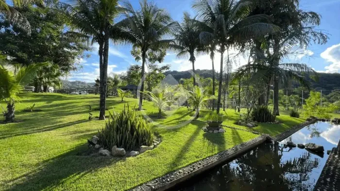 REF: Office2059 Fazenda em Itaberaí com 321,86 Hectares, com 9 quartos e 6 suítes, Itabera