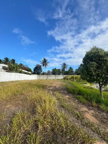 Lote no Alphaville - Lado Pium