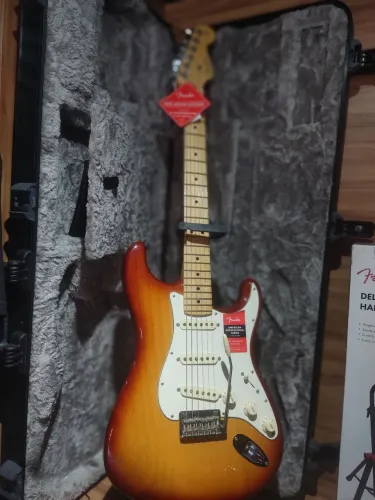 Guitarra Fender Americana Professional Sienna Sunburst