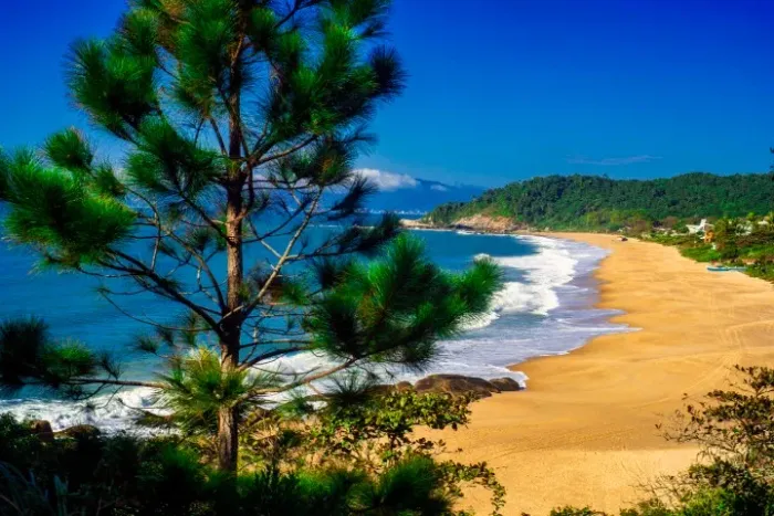 Terreno na Praia do Estaleirinho! Pertinho do Parque Aquático!