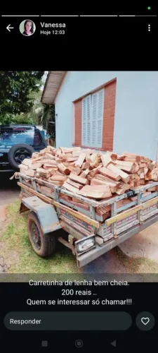 Vende-se carretinha de lenha elcalipito 200 reais 