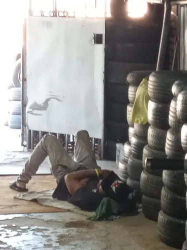 Borracheiro ou borracheira