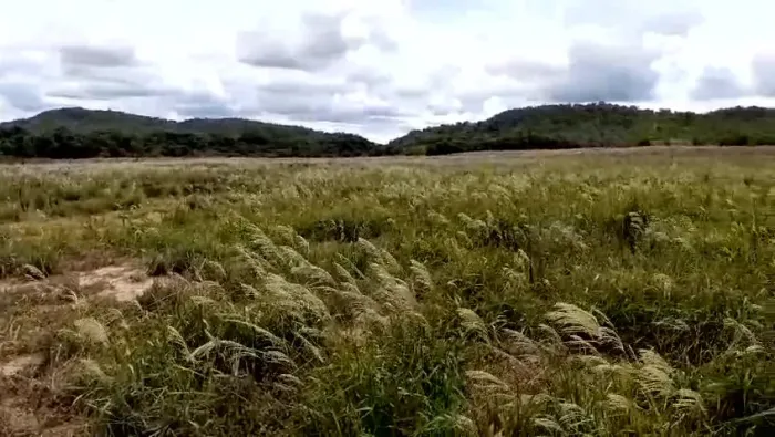 FAZENDA À VENDA - 38 ALQUEIRES | REGIÃO DO FAZ TUDO | NIQUELÂNDIA/GO