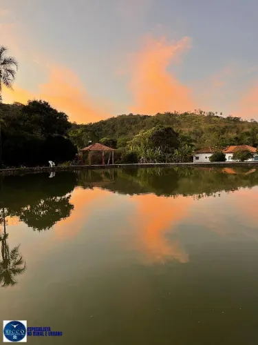 Fazenda à venda em Pirenópolis (GO)  36,5 alqueires | Alta produtividade
