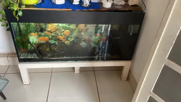 Aquário 200L