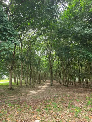 VENDE-SE LOTE