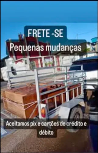 Taxi pet e viagens particulares e fretes em gerais 