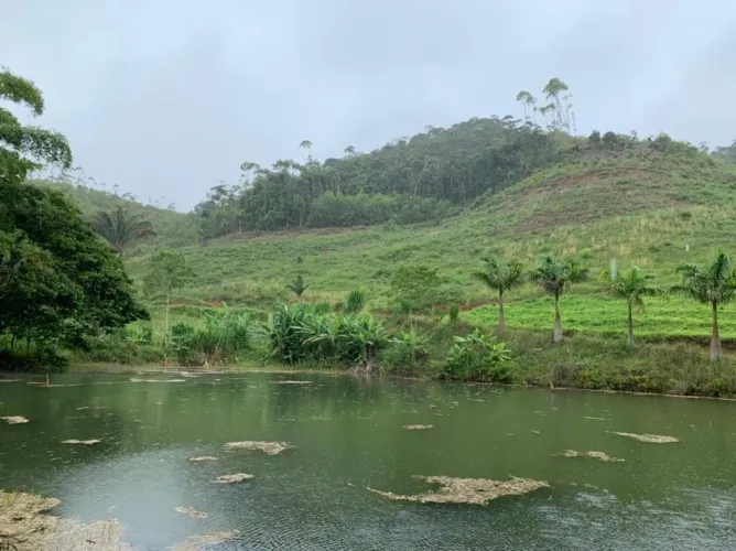 SITIO EM SANTA TERESA 22,6 HECTARES