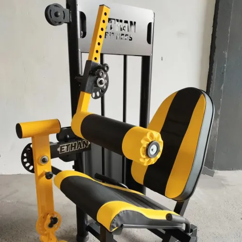 CADEIRA EXTENSORA CONJUGADA 80 KG