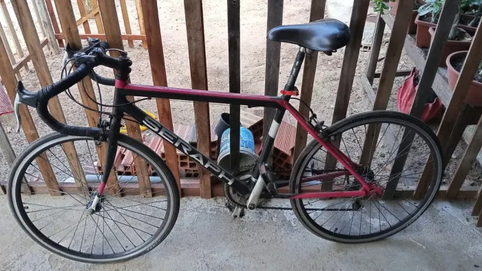 bicicleta Speed 