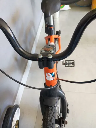 Bicicleta infantil aro 16 com freio a disco nas rodas