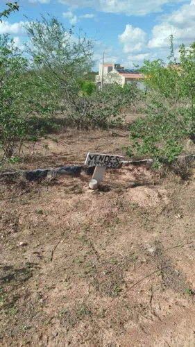 Terreno Villa São Domingos 6x21 - 4 lotes juntos