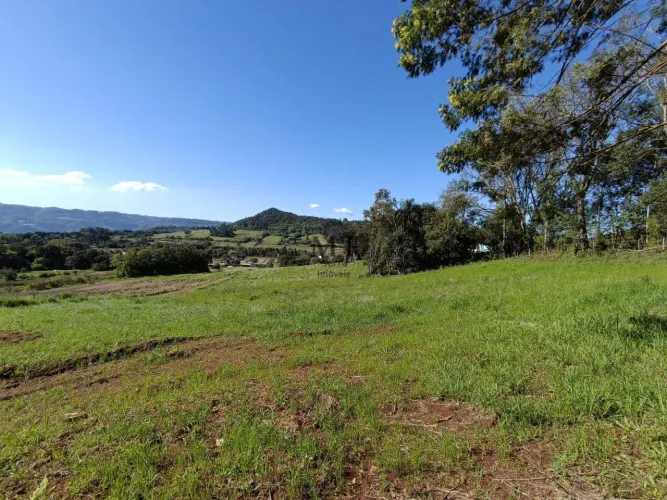 Área de terra bairro Linha Araripe,Nova Petrópolis.RS REF: 539