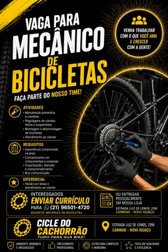 MECÂNICO DE BICICLETAS