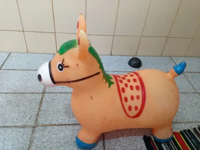 Cavalinho pocoto