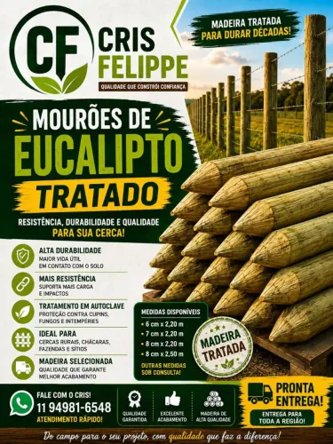 Mourões de eucalipto