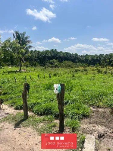 Fazenda para Venda em Afonso Cunha