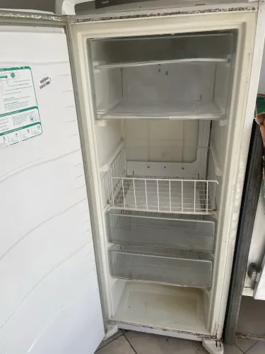 Freezer vertical