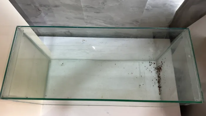 Aquário vidro 60L 