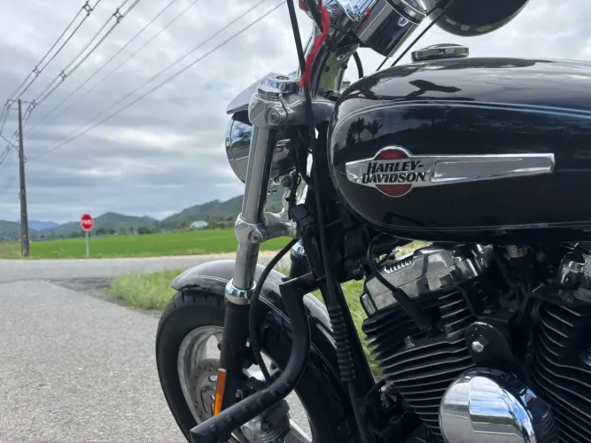 Harley-Davidson XL1200 - Custom 2012