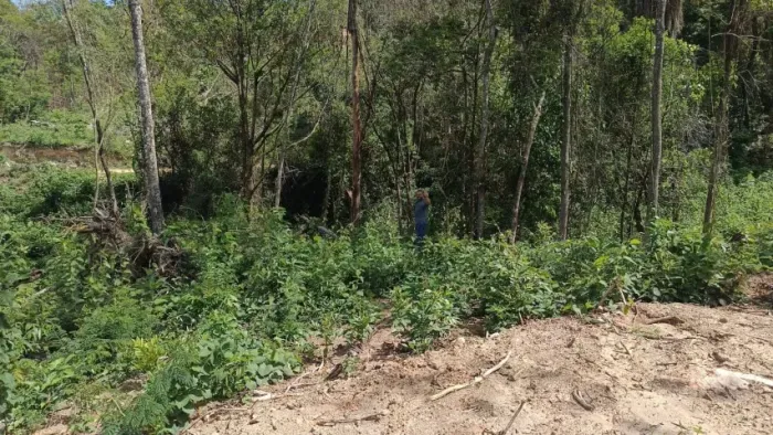 Vendo Chácara em Condomínio Fechado Próximo a BH