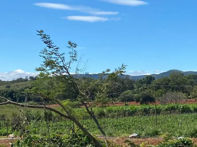 Ótimas fazendinhas de 20.000 m2 para venda em Jequitibá MG. SEM ENTRADA.