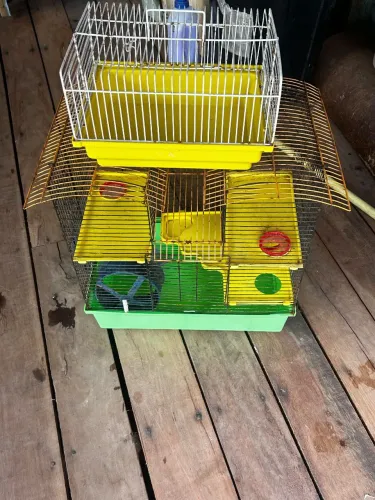 Gaiola de hamsters