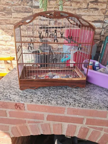 Vendo gaiola