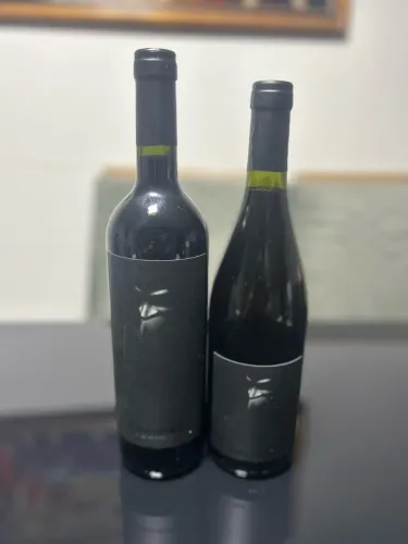 Vinhos argentinos Alma Negra (Pinot Noir e Blend)