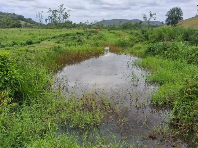 Otima fazendinha em local nobre com linda topografia, com casa , caseiro, curral, nasecent