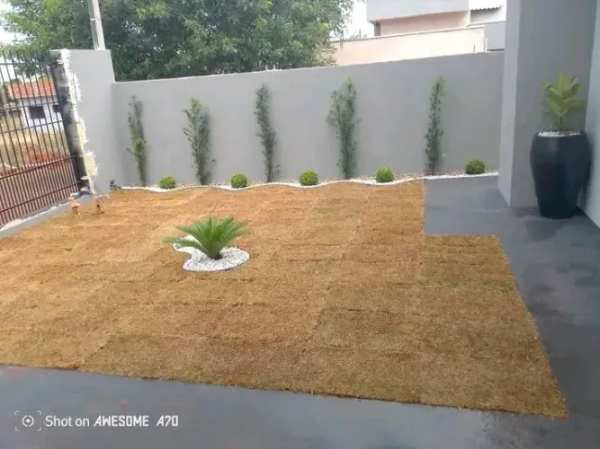 Grama Instalada Paisagismo Jardinagem