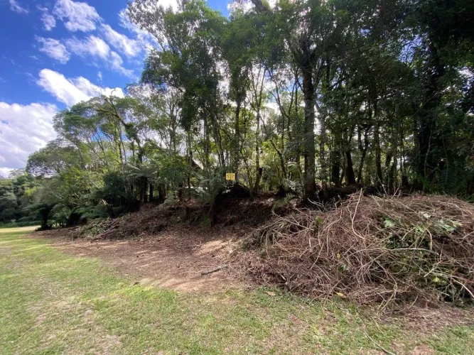 Terreno à venda em São Francisco de Paula