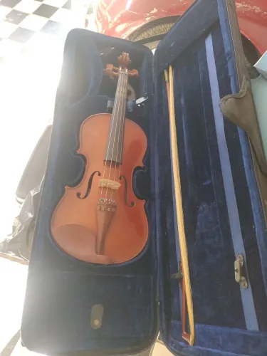 Violino