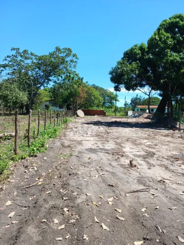 Terreno no genipabu