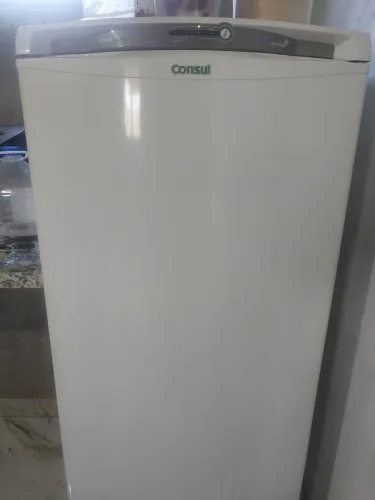 Geladeira Consul Facilite Frost Free 340l