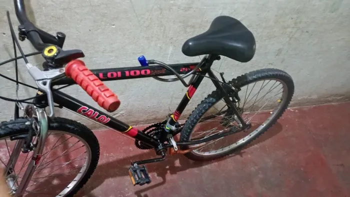 Bicicleta 