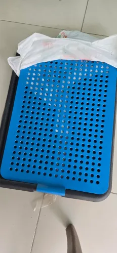Banheiro pra seu cachorro