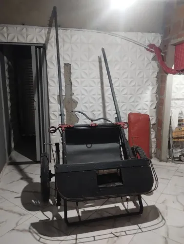 Vendo charrete 
