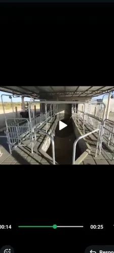 Contenção aço Galvanizado Vaca Leiteira