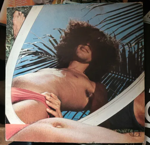 Lp Caetano Veloso - Disco Araçá Azul (1985) Capa Dupla Ótimo Estado Vinil excelente 