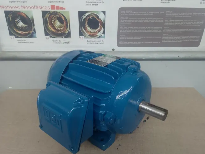 Motor trifásico 1.5 cv 1100 rpm modelo 90 weg w21