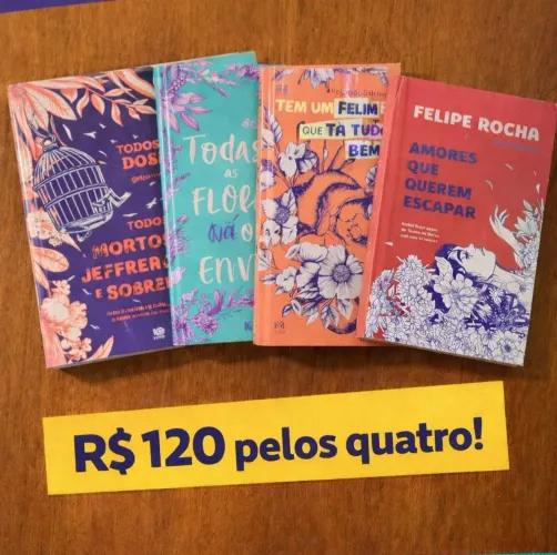 ? KIT 4 LIVROS DO FELIPE ROCHA - PERFEITO ESTADO! ?