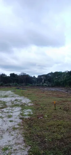 Venda de terrenos de 200m² e 300m² proximo centro