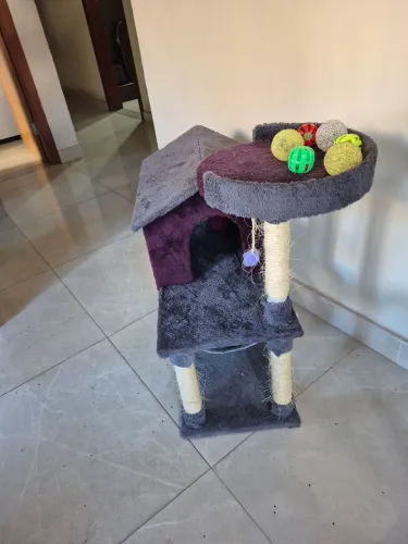 Casinha de gato