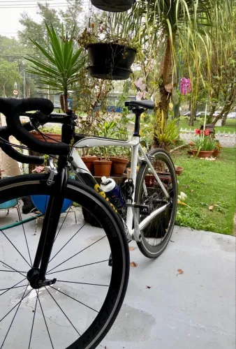 BICICLETA SPEED CALOI ESTRADA