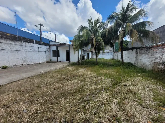 Lene Pegado Vende Terreno de 14.00 x 55.00 na Av Dr. Freitas do lado do Supermercado Mateu