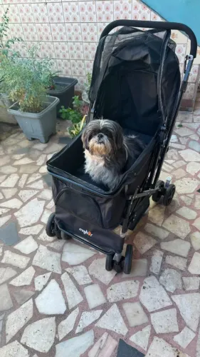 Carrinho para Pet Dobrável Mighor (Cães e Gatos) - Excelente Estado