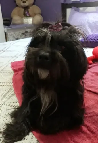 Linda feminha 